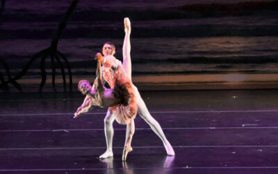 Ballet Vero Beach Returns to VBMA Nov. 16 & Feb. 8