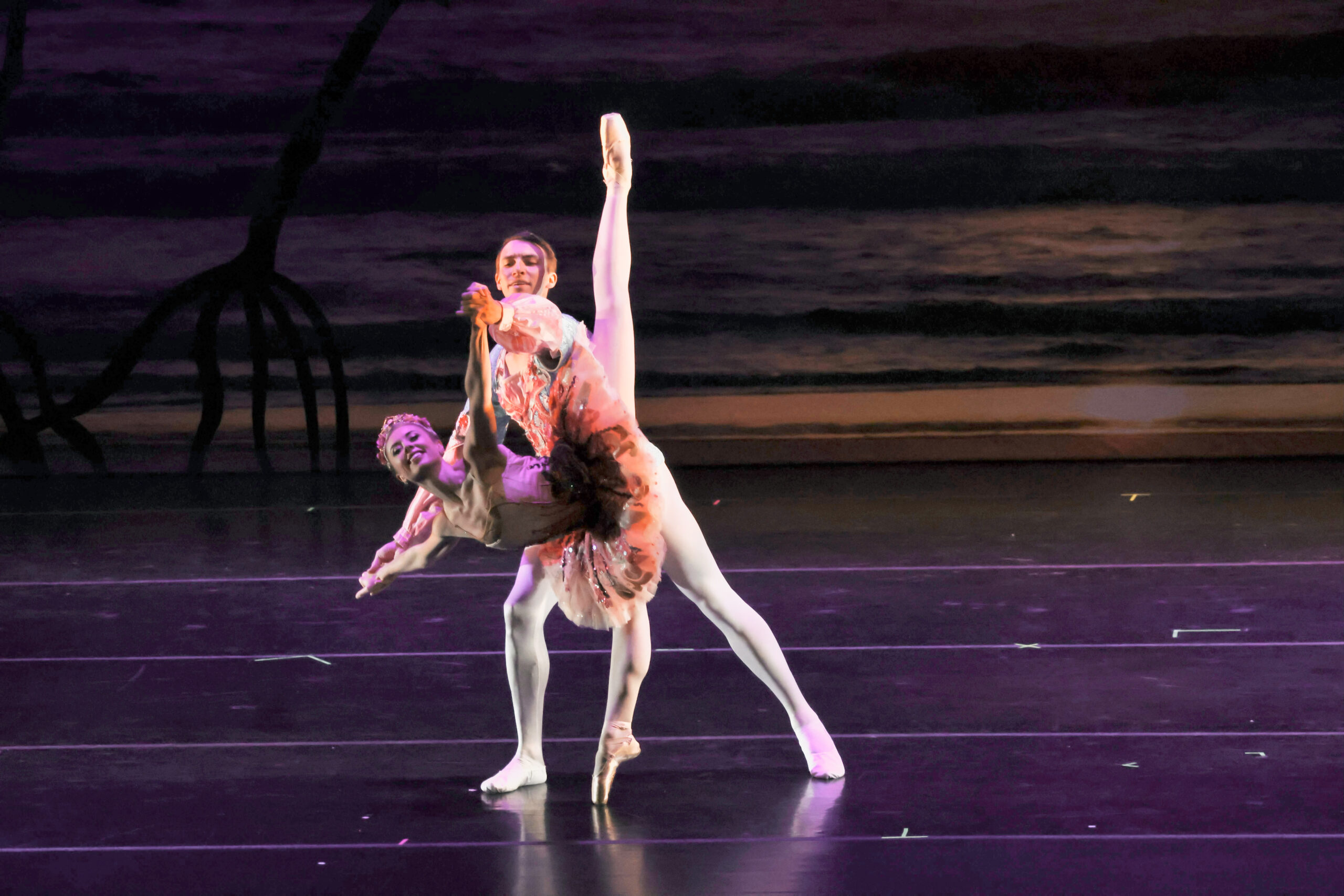 Ballet Vero Beach Returns to VBMA Nov. 16 & Feb. 8